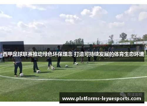 西甲足球联赛推动绿色环保理念 打造可持续发展的体育生态环境