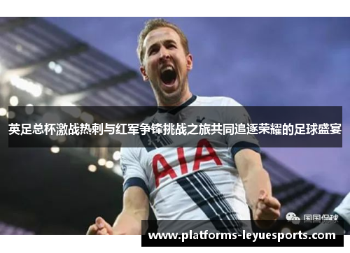 英足总杯激战热刺与红军争锋挑战之旅共同追逐荣耀的足球盛宴