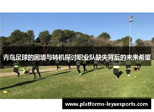 青岛足球的困境与转机探讨职业队缺失背后的未来希望