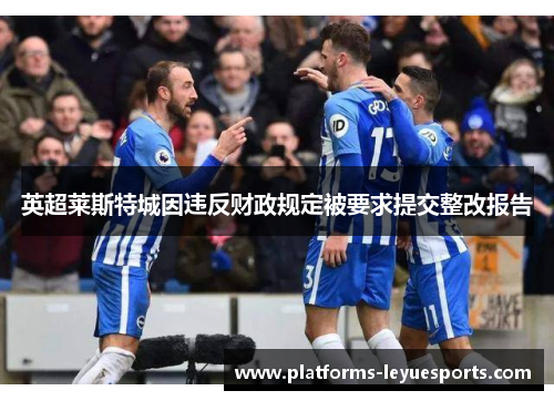 英超莱斯特城因违反财政规定被要求提交整改报告